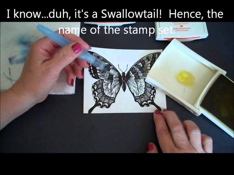 Stampin' Up! Aqua Painter Technique with the Swallowtail!
