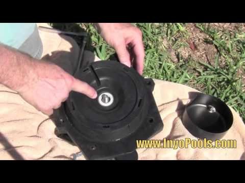 InyoPools.com - How to Replace a Pool Pump Motor
