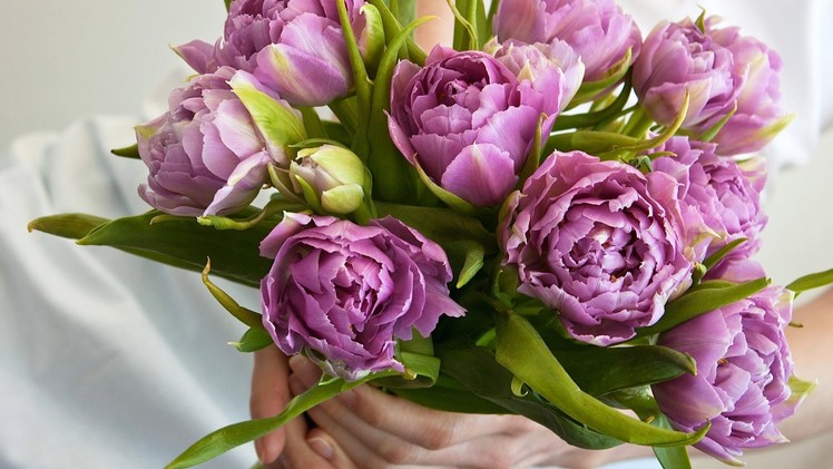 5 Tips about Purple Flowers | Wedding Flowers