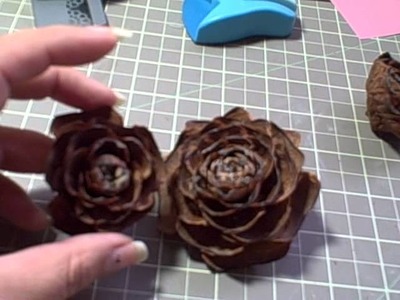 Altered pine cone roses.flowers and very very small big lots haul