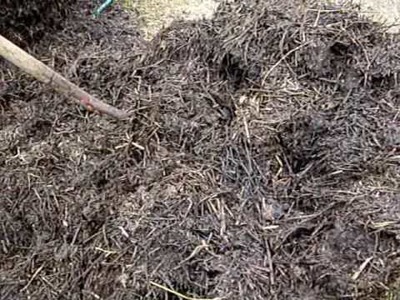 Compost from start to finish