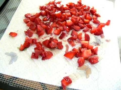 Dehydrated chopped strawberries in my Excalibur food dehydrator w.stephanie @ efooddehydrator.com