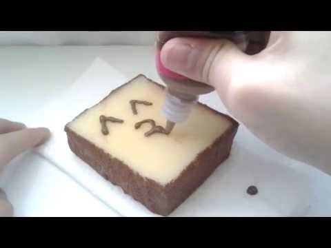 DIY Kawaii Homemade Squishy Toast Tutorial! ^_^