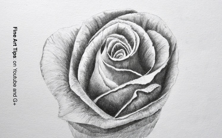 Drawing Flowers: How to Draw a Rose With Pencil - Fine Art-Tips.