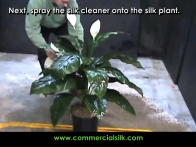 How to Clean Silk Plants