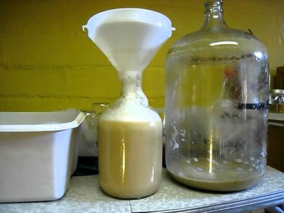 How to wash yeast for homebrew use.