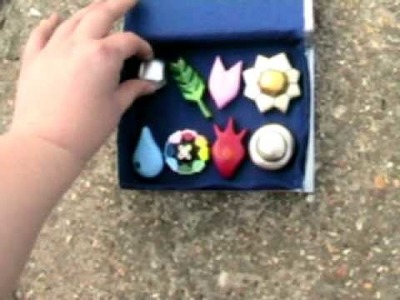 Pokemon: Box and badges set for cosplay.decoration