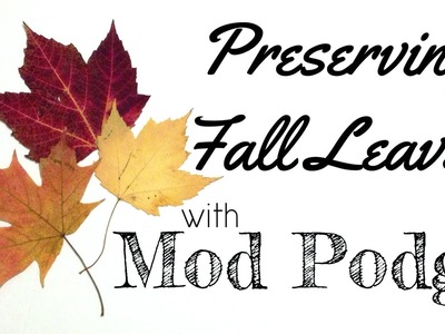 Preserving Pressed Leaves with Mod Podge #FallHOA