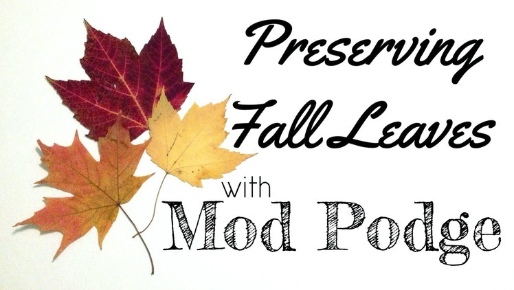 Preserving Pressed Leaves with Mod Podge #FallHOA