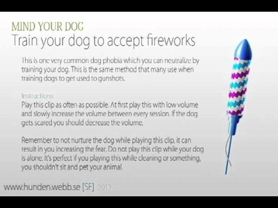 Train your dog to accept fireworks