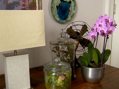 Indoor Plant Containers | At Home With P. Allen Smith