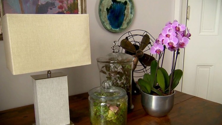 Indoor Plant Containers | At Home With P. Allen Smith