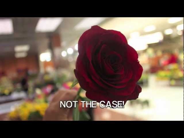 ShopRite Presents: How to keep your roses fresh and beautiful