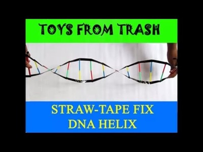 STRAW TAPE DNA HELIX - MARATHI - Model of DNA!