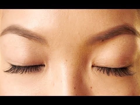 HOW TO: Grow Your Eyebrows Back Fast!