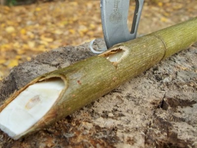 How To Make A Willow Whistle