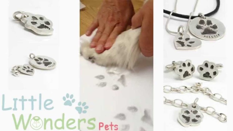 How to take a cat or dog paw print - littlewonderspets.no