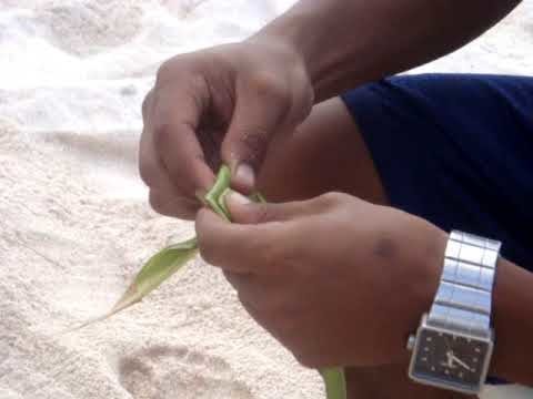 How to weave a rose out of palm leafs.