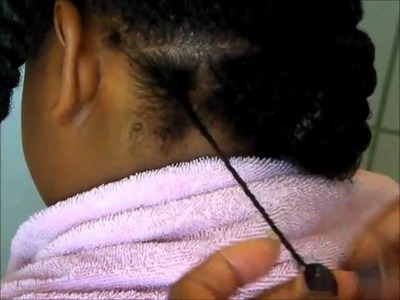 Nia's Two Strand Twists, Children's Hairstyle
