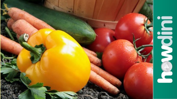 Organic gardening: How to grow an organic vegetable garden