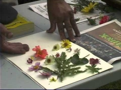 Pressing Plants - A Simple Way to Dry Flowers