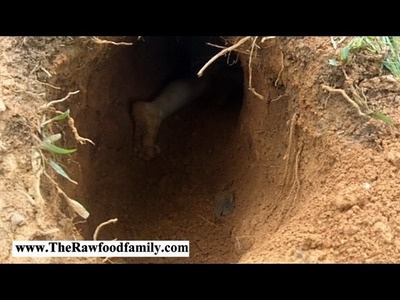 How To Build Your Own Underground Shelter Bunker (Kids Style Fun Video)