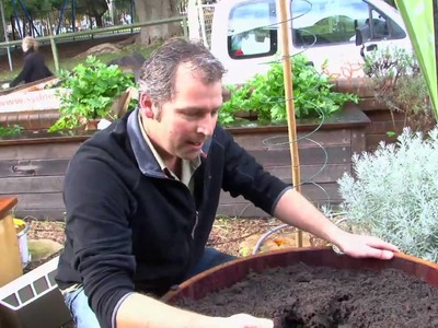 How to make a wicking bed container food garden