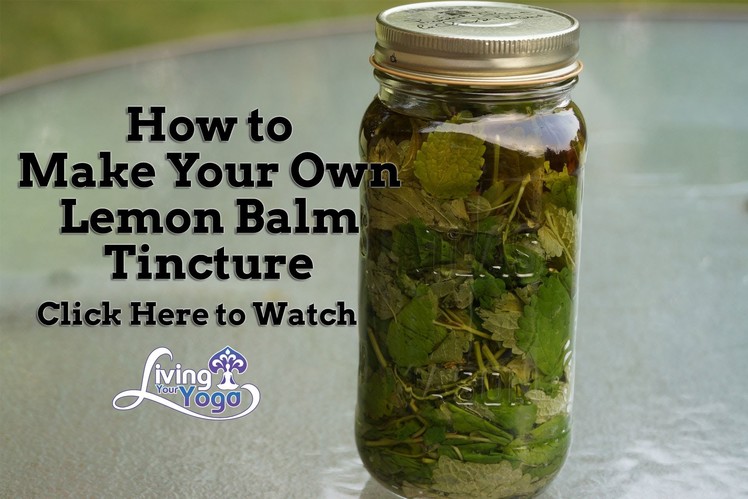How to make Your Own Lemon Balm Tincture