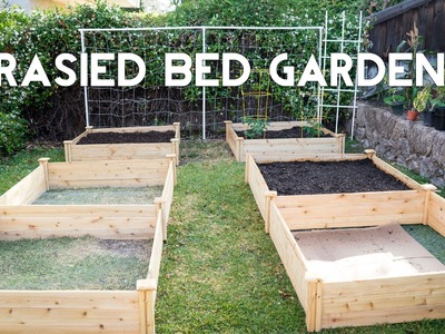 Raised Bed Gardening - How To Start A Raised Bed Vegetable Garden
