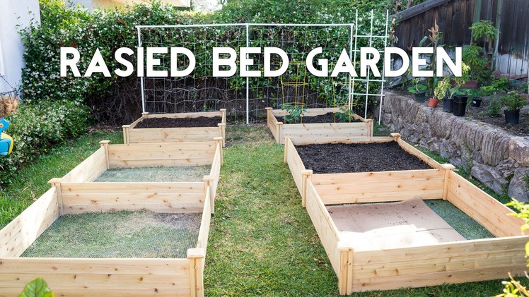 Raised Bed Gardening - How To Start A Raised Bed Vegetable Garden