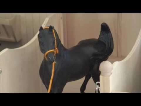 How to make a breyer horse movie- Beginner's edition **MY 100TH VIDEO YAAY!*
