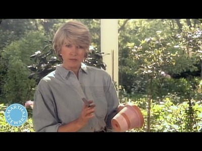 How to Paint Terracotta Pots -Throwback Thursday - Martha Stewart