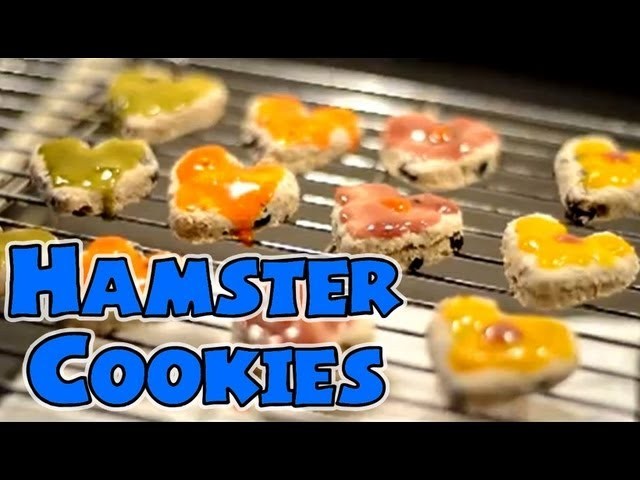 "ICED" HAMSTER COOKIES | How To