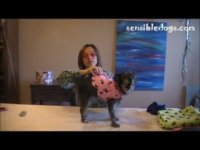 Easy Collar Coat for Your Baby Dog