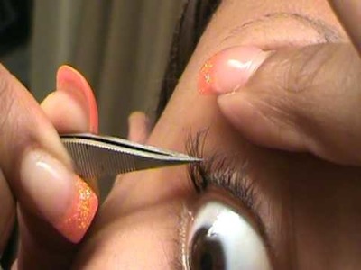 How to apply individual lashes