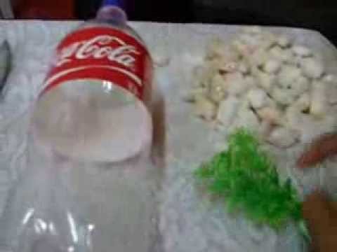 How to make a bottle aquarium.