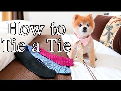How To Tie A Tie By Gentleman Norman