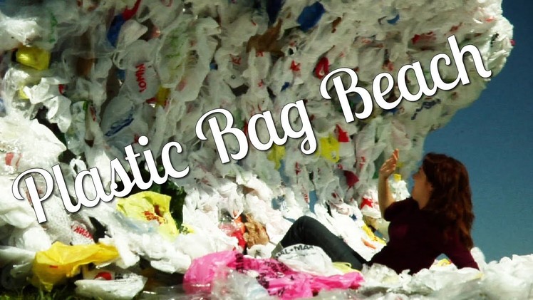 Plastic Bag Beach - made from over 5000 bags.