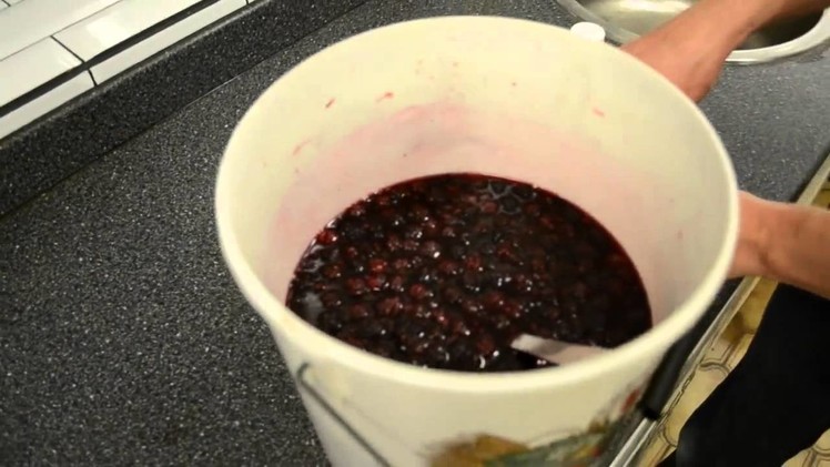How to Make Blackberry Wine by Brewbitz Homebrew Shop