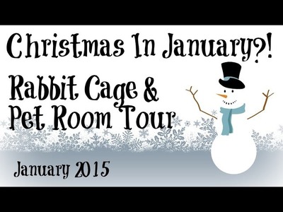 BudgetBunny: Christmas In January?! | Rabbit Cage & Pet Room Tour