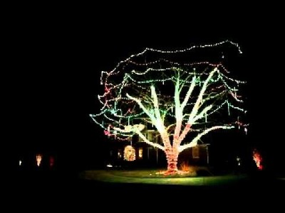 Outdoor Lighting Perspectives Christmas Tree