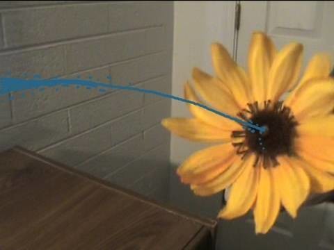 How To Make a Squirting Flower!