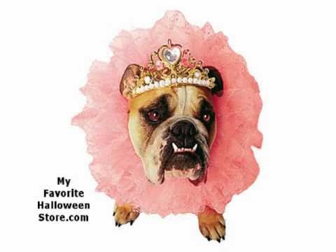 Cute Halloween Costumes for Girl Dogs