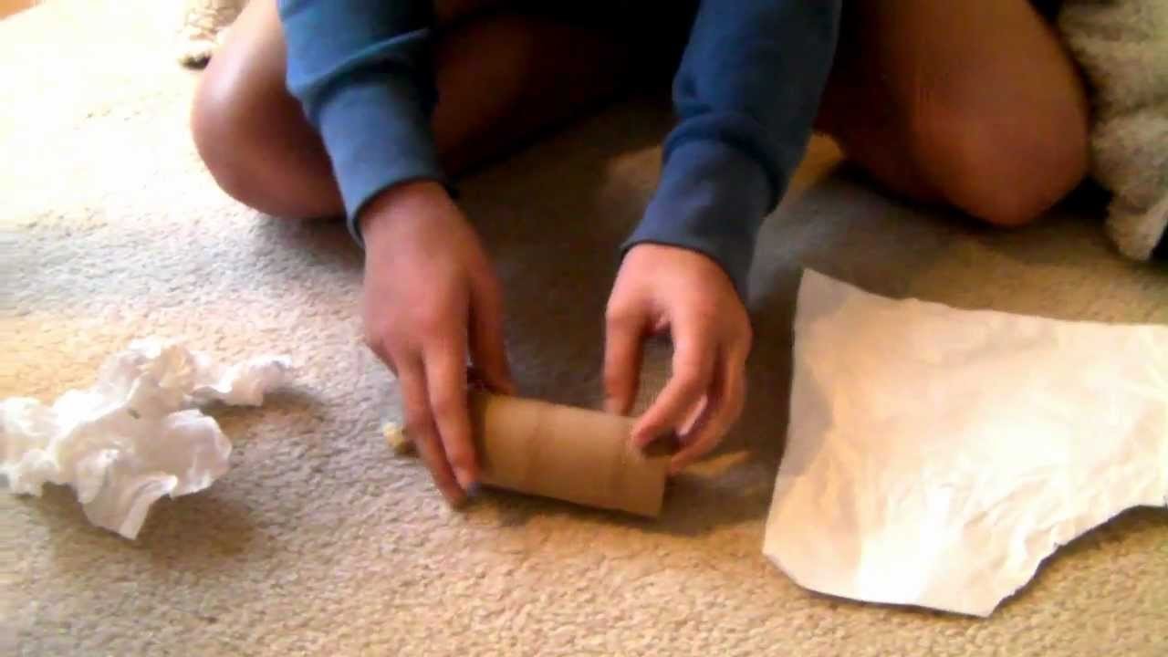 How to Make a Homemade Toilet Paper Roll Toy