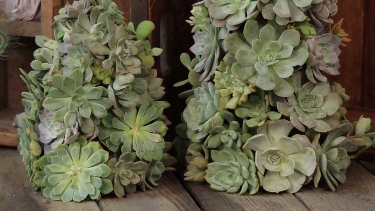 How to Make a Living Succulent Tree