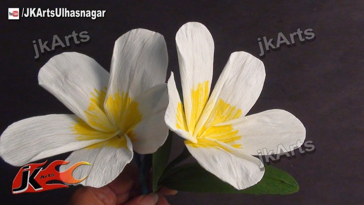 DIY How to make Crepe Paper Plumeria Flower JK Arts 380