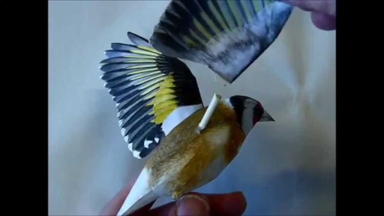 Incredibly realistic 3d papercraft bird