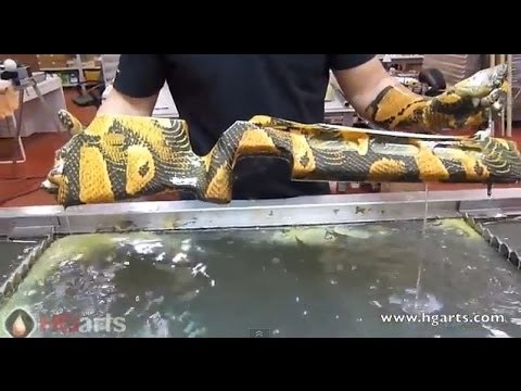 Water Transfer Printing applied to Military Gear- Hydrographics Camouflage - (hgarts.com)
