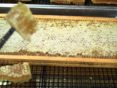 How to eat Comb Honey