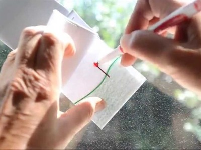 How To Make a Quick & Easy Flipbook Flip book Drawing of a Flower Growing